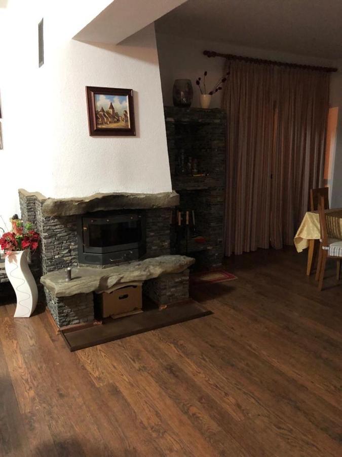 Vila Eli Villa Azuga Dış mekan fotoğraf