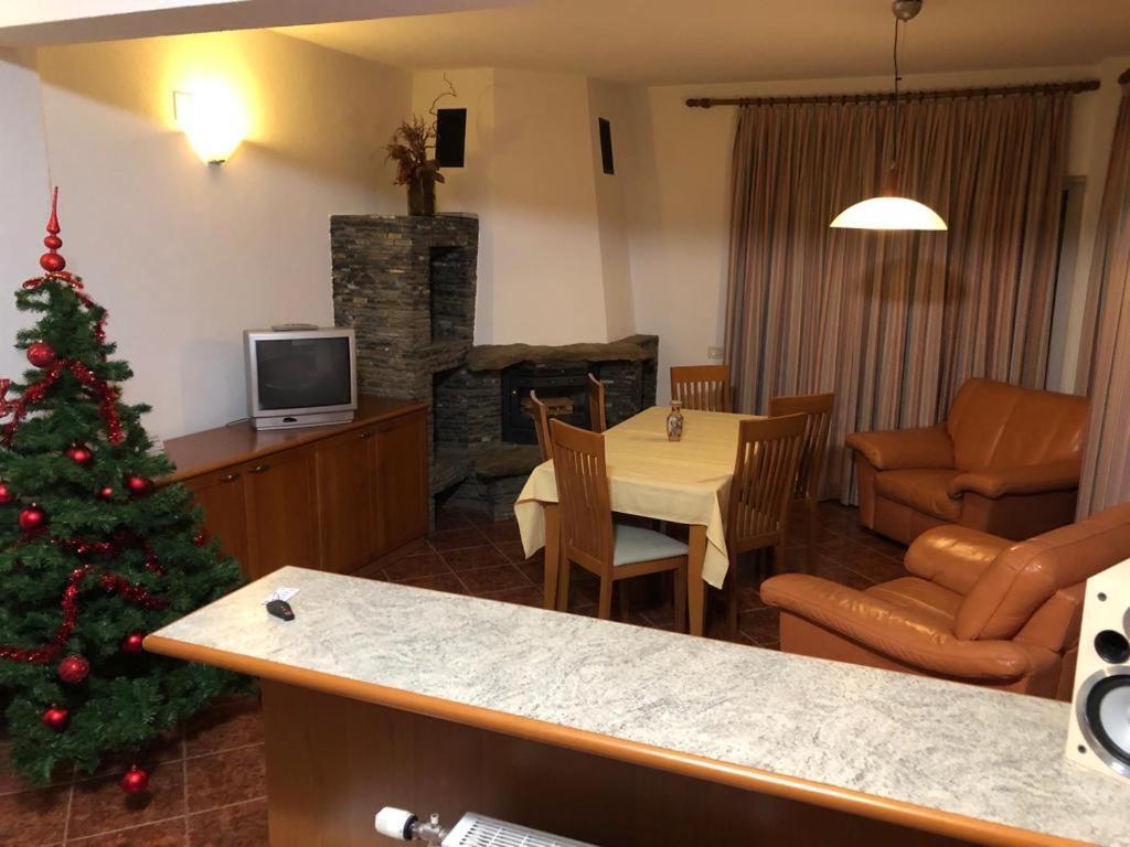 Vila Eli Villa Azuga Dış mekan fotoğraf