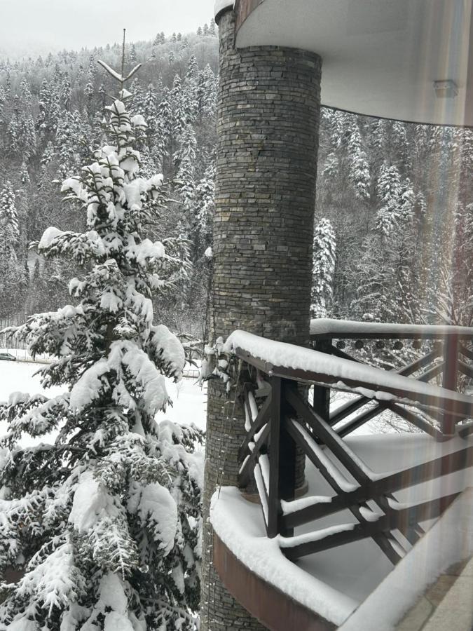 Vila Eli Villa Azuga Dış mekan fotoğraf
