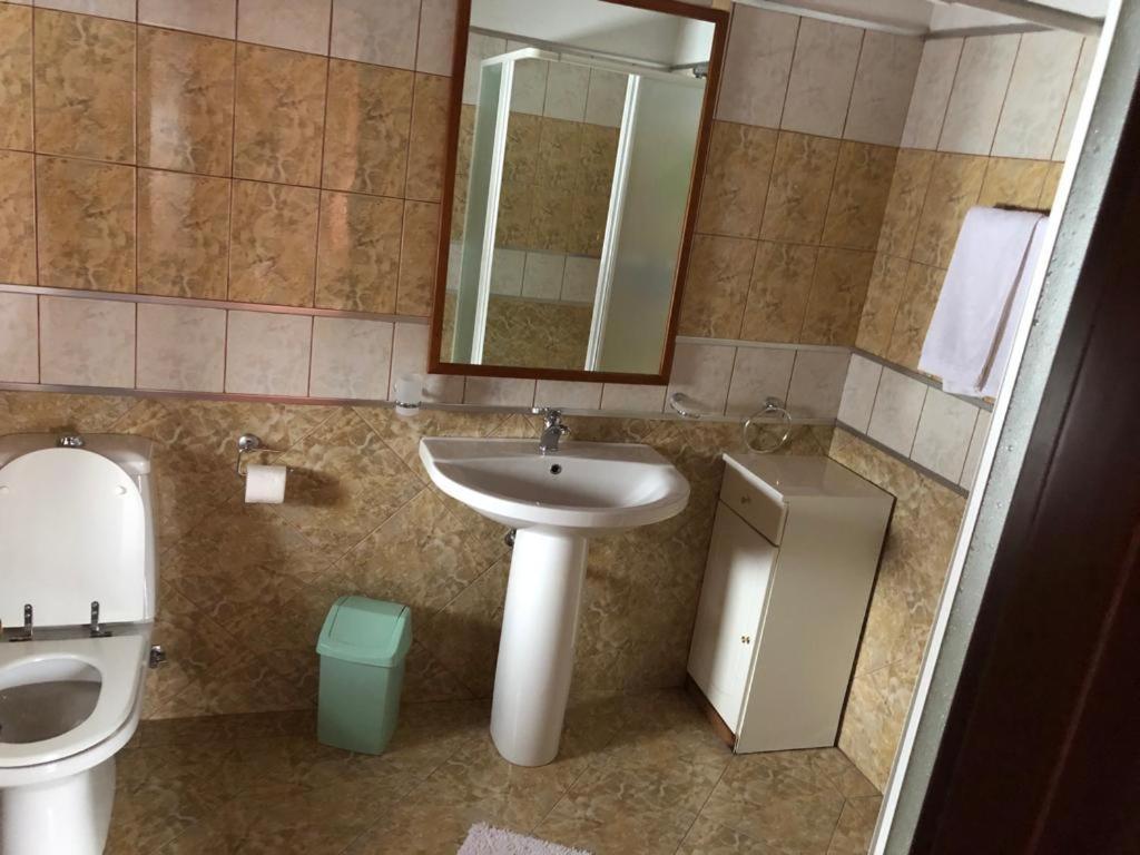 Vila Eli Villa Azuga Dış mekan fotoğraf